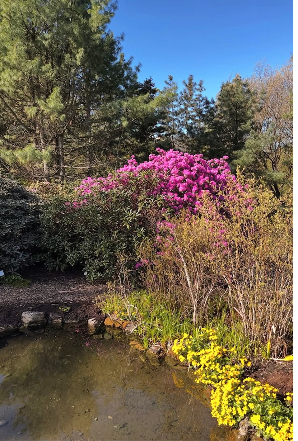 Nærområde (Botanisk hage)